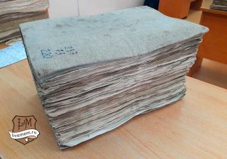 Проверяемый документ при генеалогической экспертизе