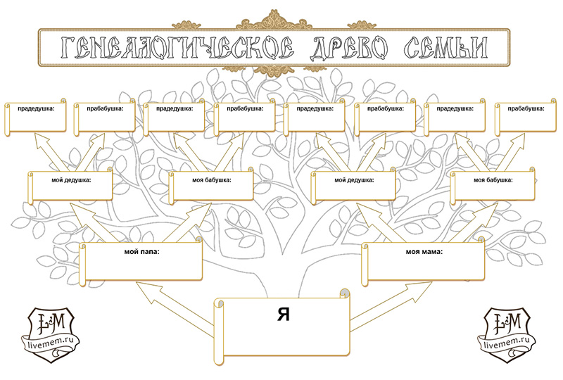 Как сделать родословное дерево семьи: этапы и способы составления, виды деревьев