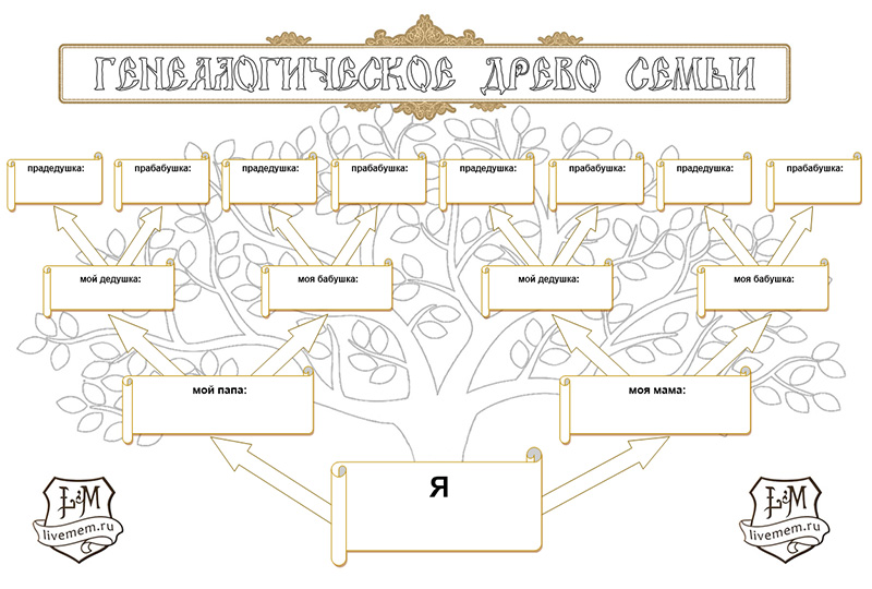 Как сделать генеалогическое дерево семьи – мастер-класс
