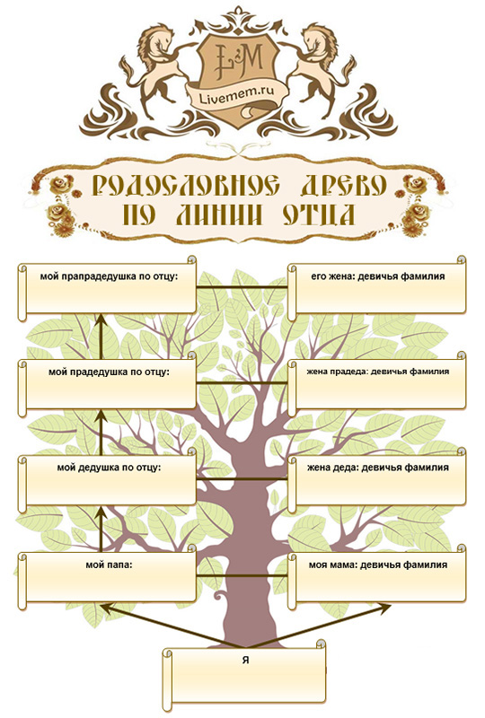 Как оформить генеалогическое древо своими руками