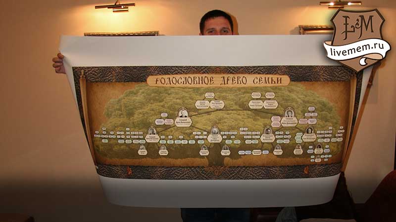 сведения о фамилии на родословном древе