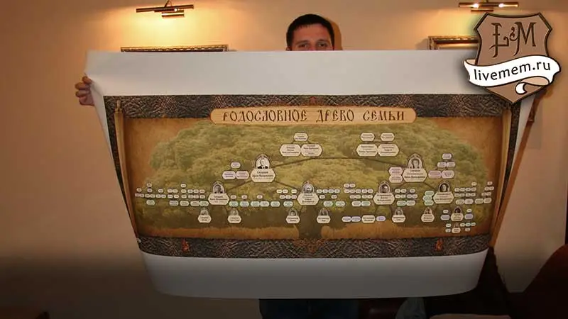 сведения о фамилии на родословном древе