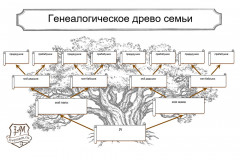 Появились новые макеты раскрасок деревьев для детей