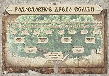 Купить морской шаблон со схемой родословного дерева