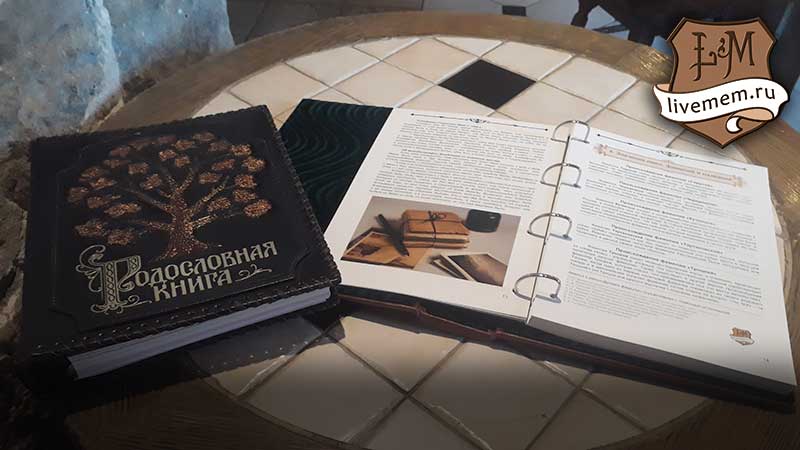 образец книги рода снаружи и внутри