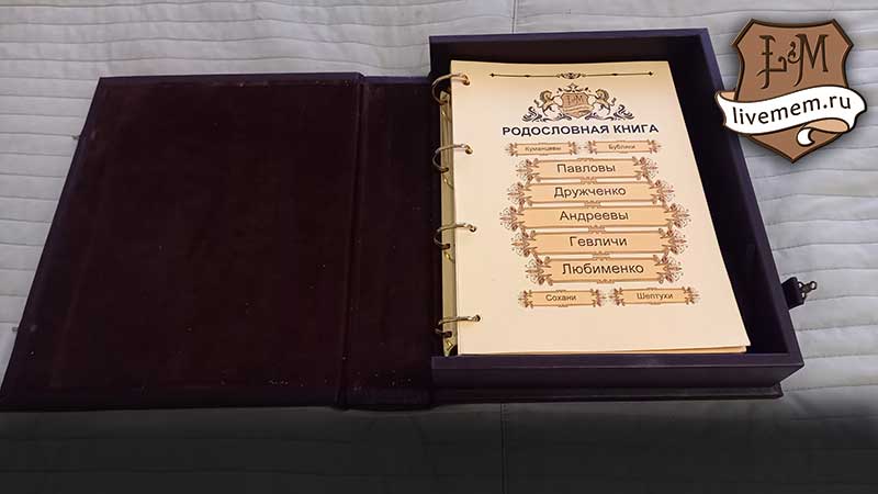 Пример фамильного анализа в родословной